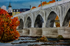 Gervais-Street-Bridge-Fall
