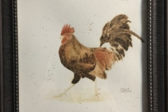 Rooster-Pyro