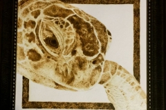 Turtle-Pyrography